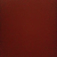 Tất cả mọi người trừ vài đứa