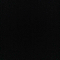 Nv phụ