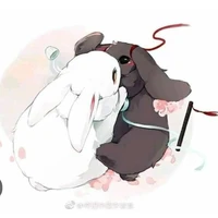 LT+NA