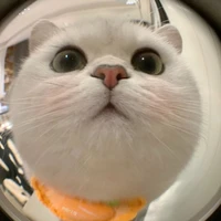 All(trừ nhx người cần trừ)