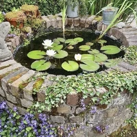 all [ - vài người ( - cậu ) ]