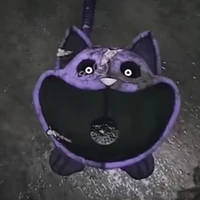 Catnap