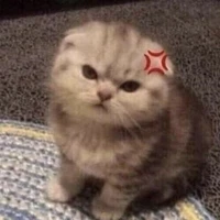 Hạ Châu <nhỏ bn>