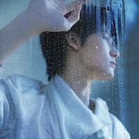 Trương Chân Nguyên