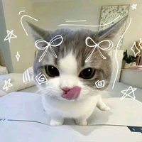 Rii tớ là tác giả ạa