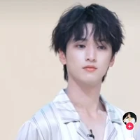 Nghiêm hạo tường(Y)