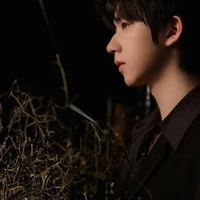 Hạ tuấn lâm(anh)