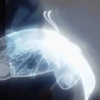 Kaito và Lily