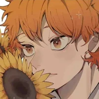 hinata shoyo [omega trội]