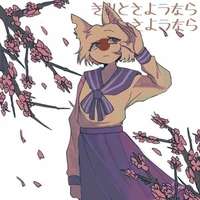 Neko Japan