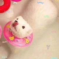 Tác giả =))