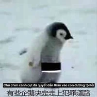 Cụt Biết Bay (Uynly)