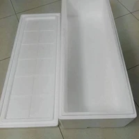NVP