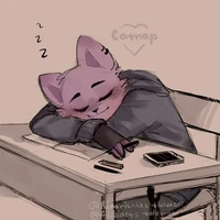 catnap