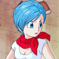 Bulma Brif