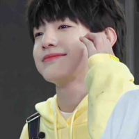 Trương trạch vũ