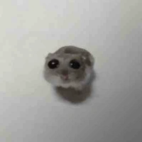 Bí ẩn-kun