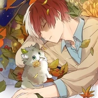 Todoroki Shoto