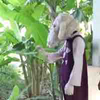 Toriel 