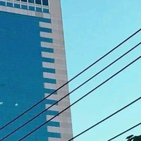 tổng hợp nv