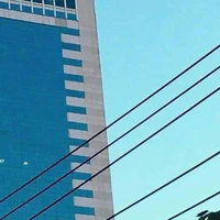 tổng hợp nv