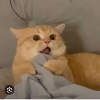 all