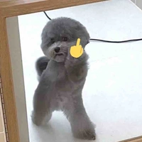 T/G