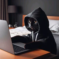 Hệ thống Hacker lỏ