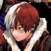 Todoroki Shoto