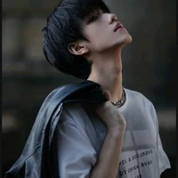 Nhiếp Gia Luân(n9)