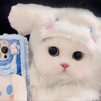 Bông trắng(Tống Á Hiên)