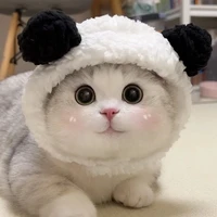 Bạch tuyết(Tô Tân Hạo)