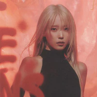 Lee Ji Eun ( IU )