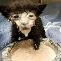 ?người ấy là ai?