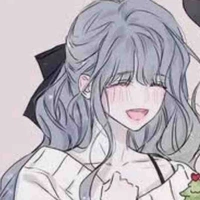Y/N