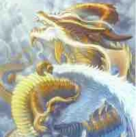 TIZ - DẠNG RỒNG