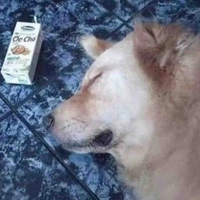 ? ? ?