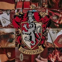 HS  nhà  gryffindor
