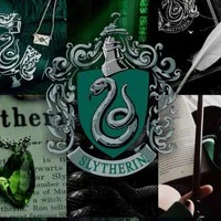 hs nhà slytherin