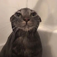 quần chúng ăn dưa