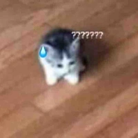 tác giả 😼