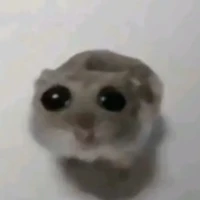 Tác giả ác ma