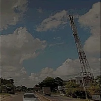 đa vật 