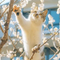 Vợ của Junpei không cần nhịn bất kỳ ai