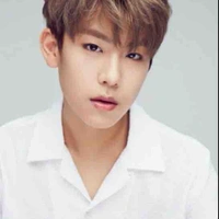 Park Woojin