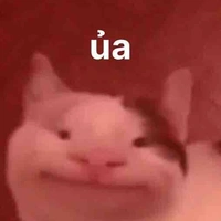 Cả lớp