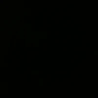 NVP