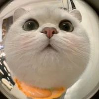 Nhỏ vô tri lười viết truyện⁉️