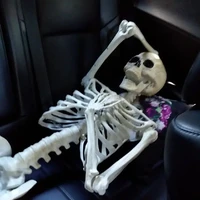 Kon tác giả xàm 🐕