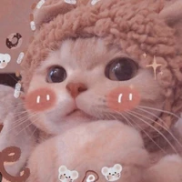 Con tác giả tên Kimiamy chan